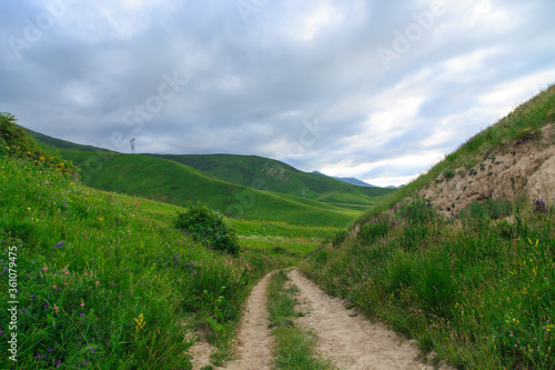 Beautiful spring and summer landscape. Mountain country road among green hills.