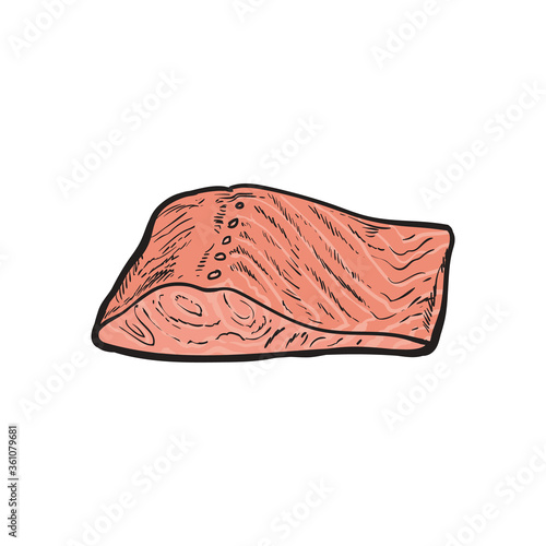 Vector illustration of red fish fillet without skin in sketch style.