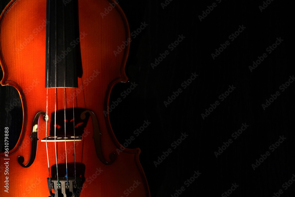 Fototapeta premium Violin On Dark