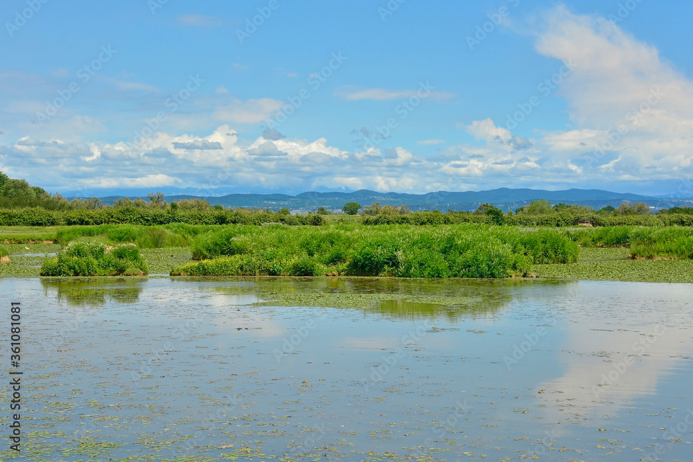 The wetlands of Isola Della Cona in Friuli-Venezia Giulia, north east Italy
