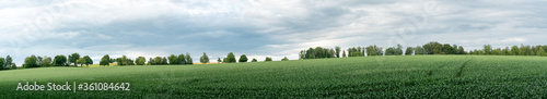 panorama landscape of green farm fields and trees in the background