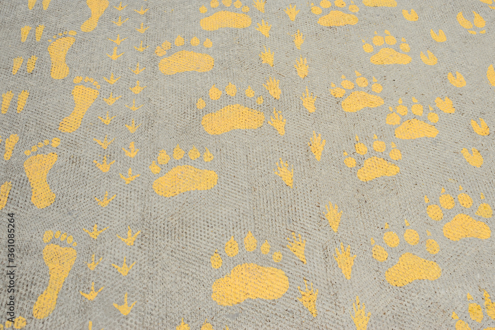 silhouette prints of traces of animal, human, birds on asphalt pavement path painted with yellow paint, stock photo image background silhouette prints of traces of animal, human, birds on asphalt pavement path painted with yellow paint, stock photo image background