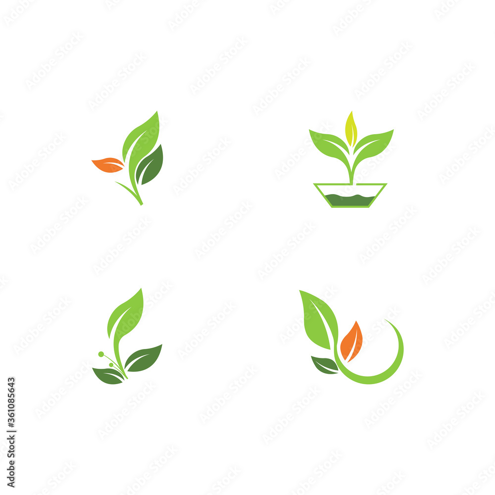 Set Leaf Logo Template vector Set Leaf Logo Template vector