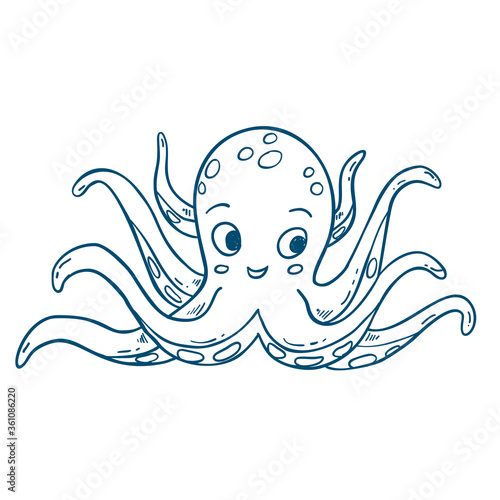 Outlined octopus illstration, hand drawn isolated vector sketch