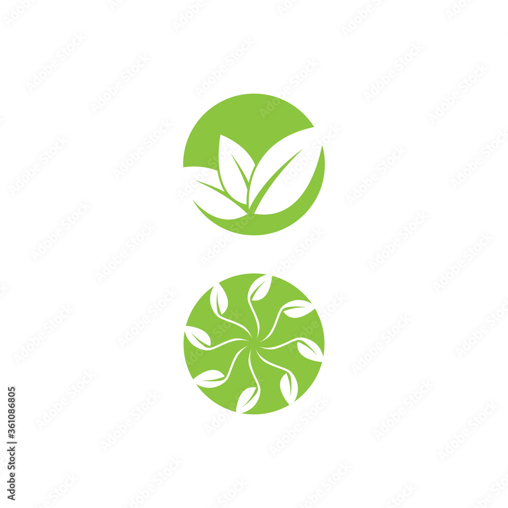 Leaf Logo Template vector symbol Leaf Logo Template vector symbol