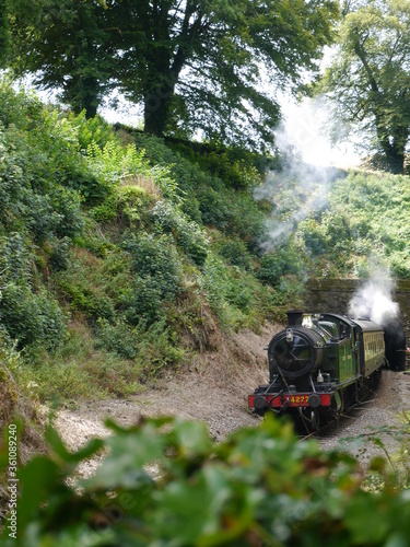 Steam train in the Southern England forest
