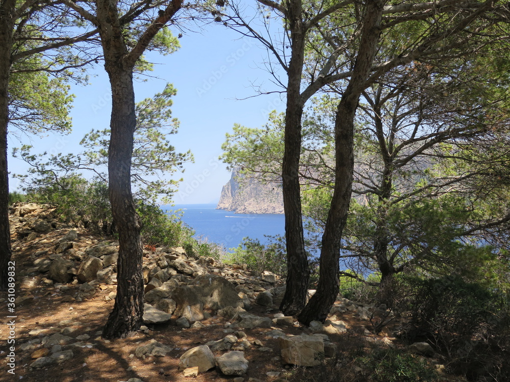 the view from the hiking trail to the Far de Tramuntana on the island Sa Dragonera, Mallorca, Spain, in the month of June
