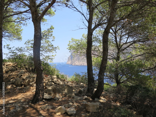 the view from the hiking trail to the Far de Tramuntana on the island Sa Dragonera  Mallorca  Spain  in the month of June
