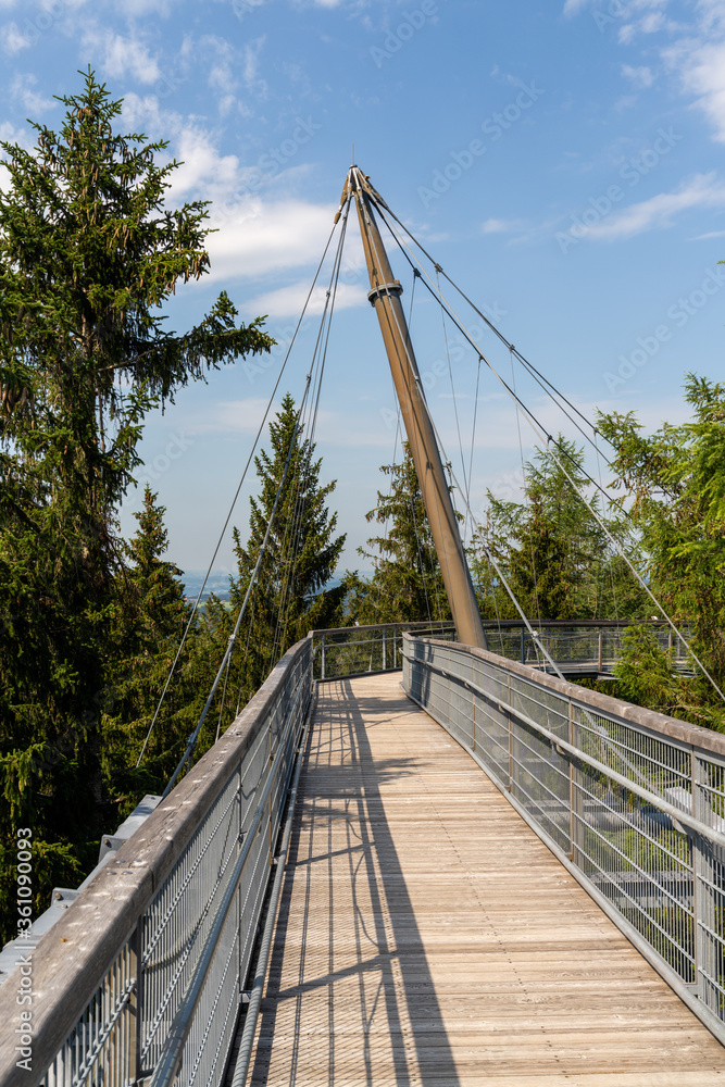 view of the tree top path and trail in the hills of southern Bavaria in Scheidegg