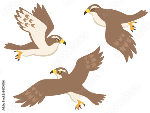 飛んでいる鷹のイラスト