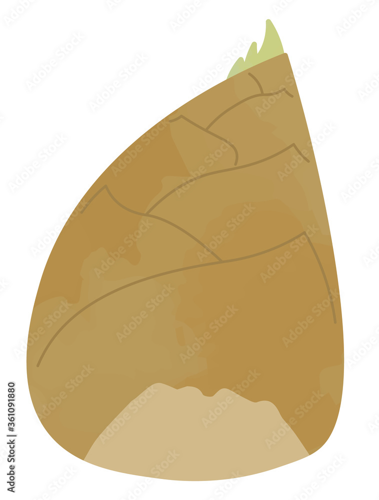 タケノコのイラスト タケノコのイラスト