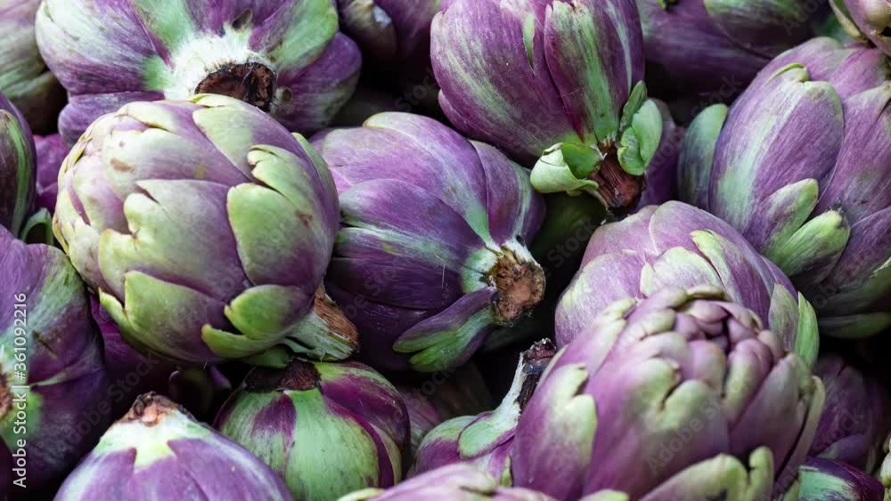 Pan to right of pile of purple globe artichokes, Cynara cardunculus, background image Pan to right of pile of purple globe artichokes, Cynara cardunculus, background image