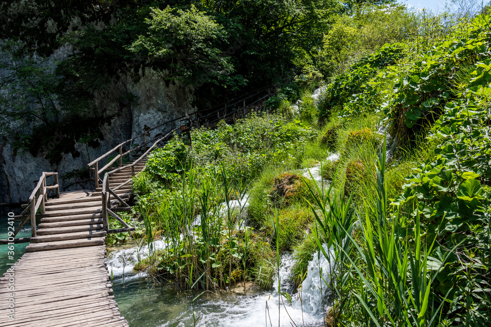 Wooden trail