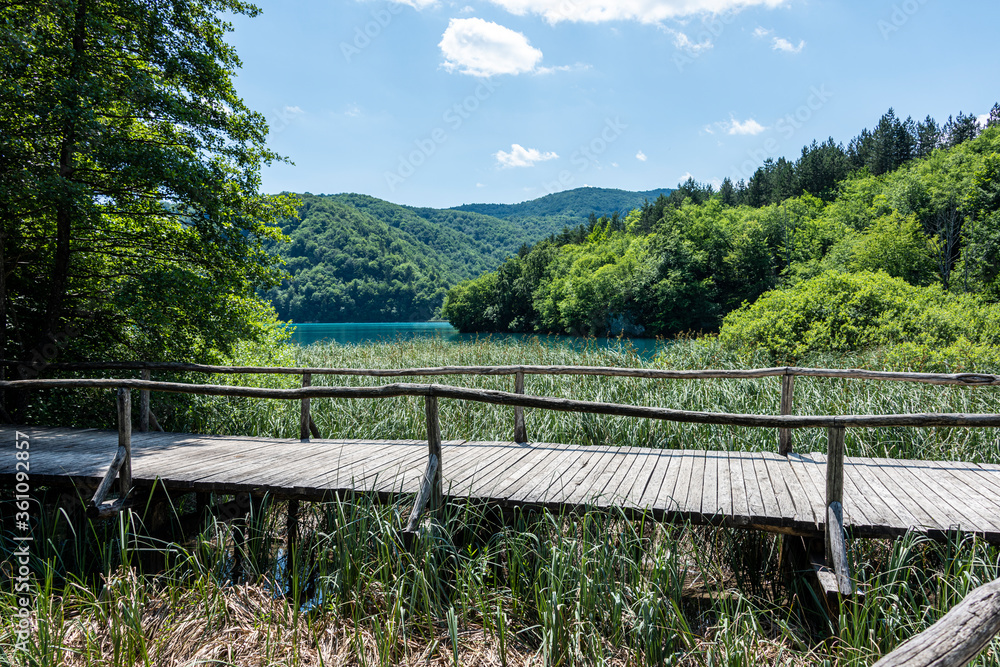 Fototapeta premium Wooden trail