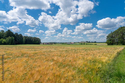 Landscape vith village und ...