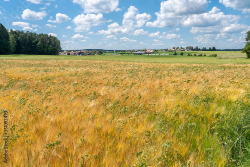 Landscape vith village und ...