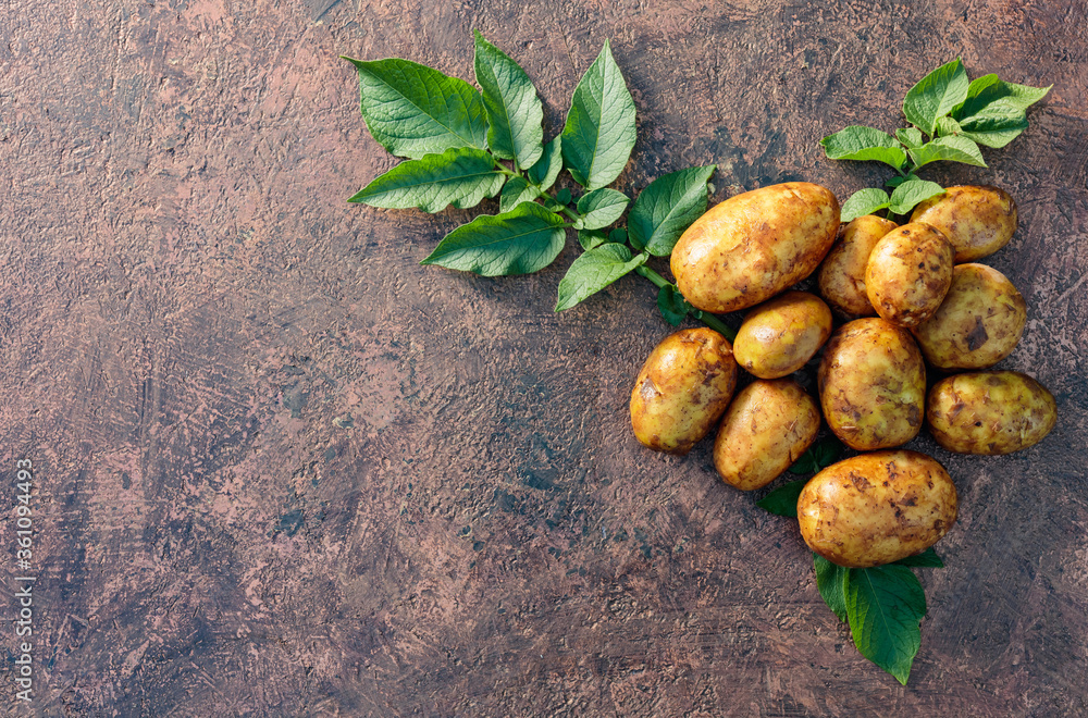 Raw potato with green leaves on a brown background. Raw potato with green leaves on a brown background.