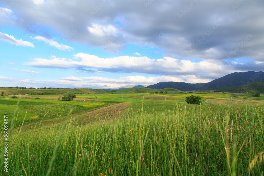 Beautiful spring and summer landscape. Lush green hills. Spring blooming herbs. Beautiful spring and summer landscape. Lush green hills. Spring blooming herbs.