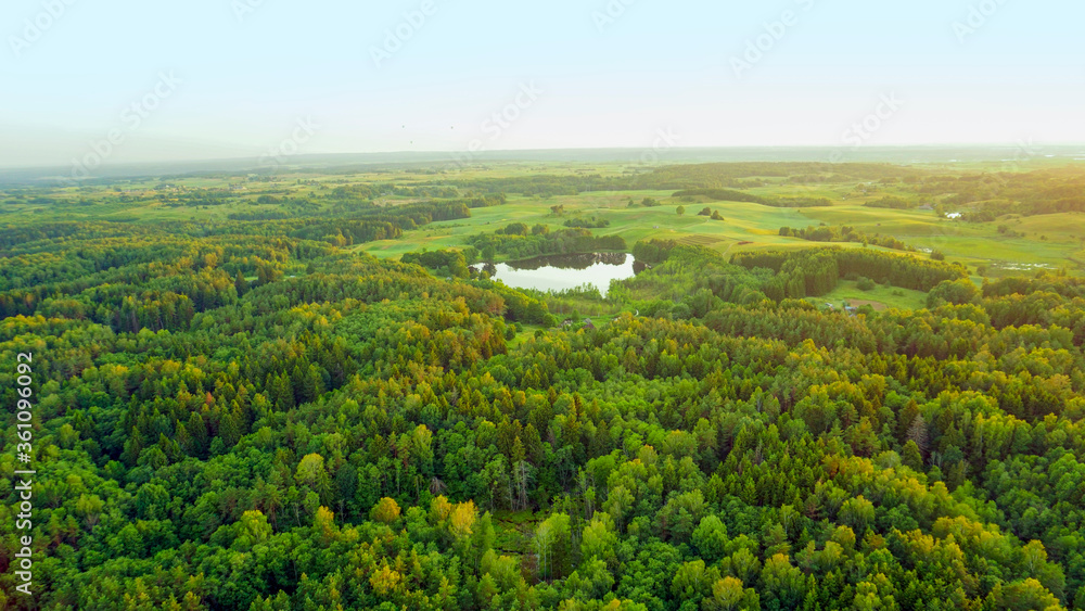 air scape from balloon, view of woods and lakes, bird eye view

