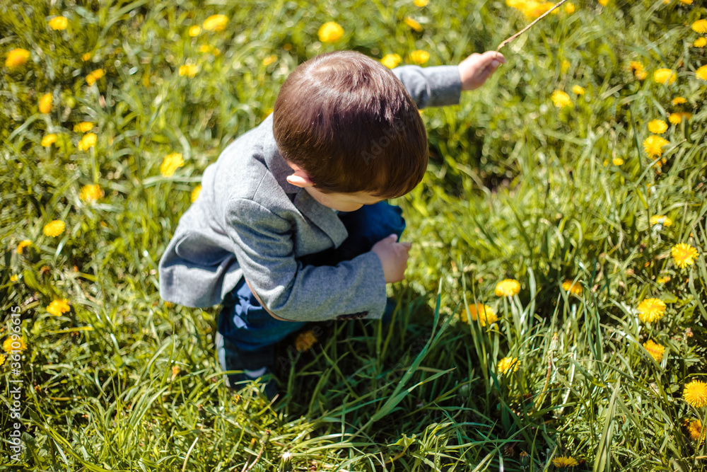 Little boy walks in a spring park Little boy walks in a spring park