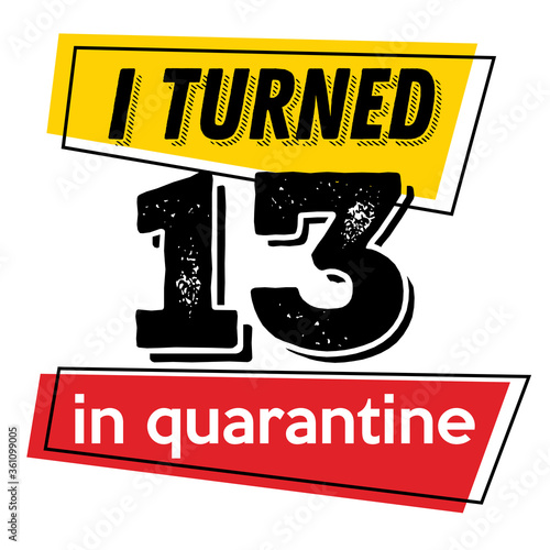 I turned 13 in quarantine vector quote	