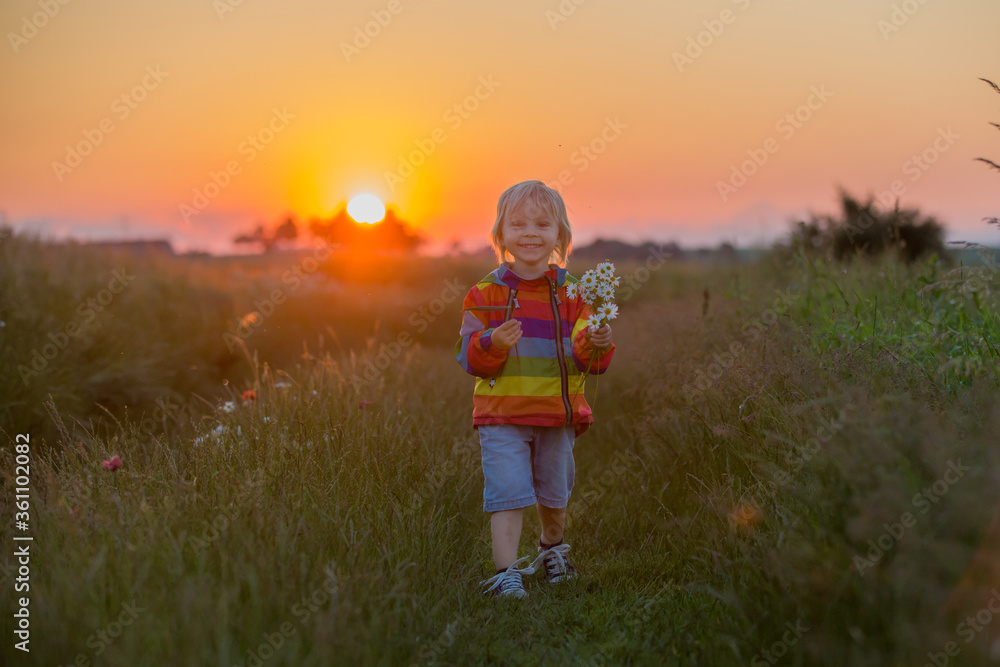 Blond child, toddler boy, running in field on sunset, holding flowers Blond child, toddler boy, running in field on sunset, holding flowers