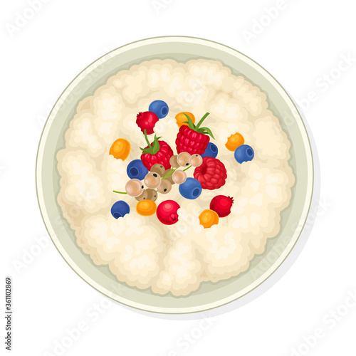 Bowl of Cereal or Oatmeal Porridge with Berries View From Above Vector Illustration