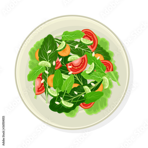 Vegetable Salad with Lettuce and Tomato Vector Illustration