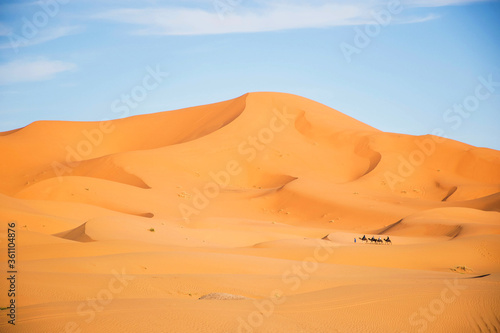 Desert high sand dunes in the evenening light with camel caravan in the distance. Extreme adventure travel destinations. Merzouga Morocco sahara landscape. 