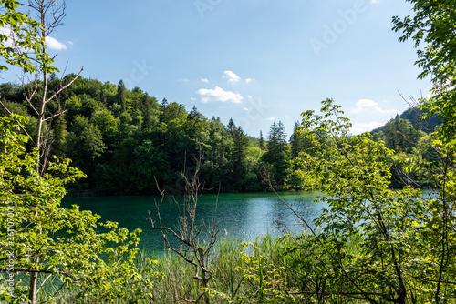 Picturesque morning in Plitvice National Park. Colorful spring scene of green forest with pure water lake. Great countryside view of Croatia  Europe