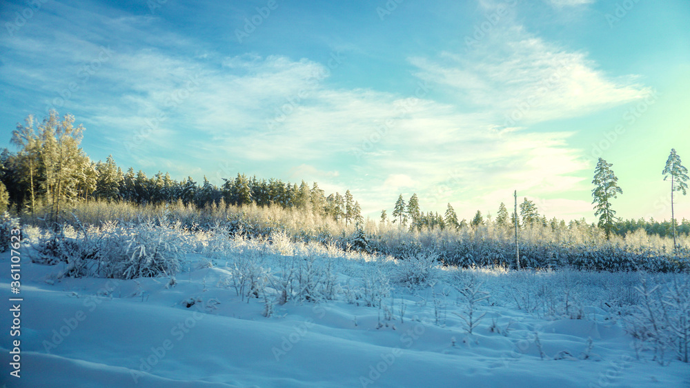 Beautiful landscape of winter forest Beautiful landscape of winter forest