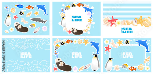 夏　魚　海の生物　イラストセット