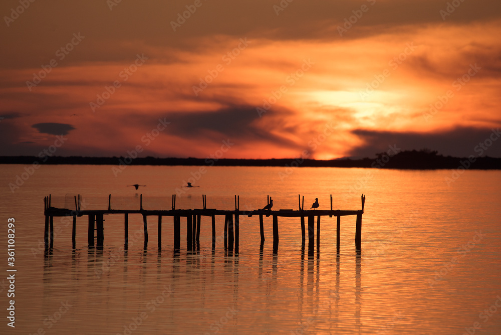 Two pink flamingos fly over the sea at sunset. Two seagulls are perching on a pier. Their strengths are visible. The sky and the sea are fiery in color.