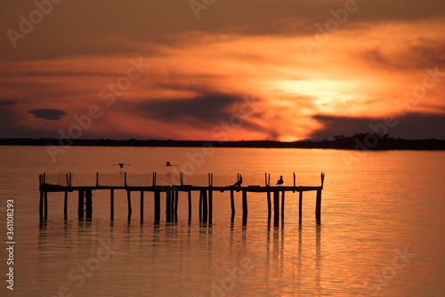 Two pink flamingos fly over the sea at sunset. Two seagulls are perching on a pier. Their strengths are visible. The sky and the sea are fiery in color.