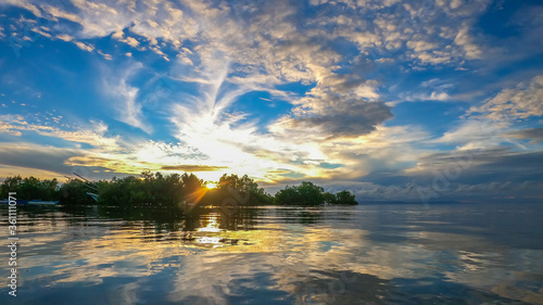 mangroves on an island with a reflection in the water