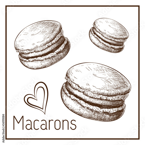 Hand drawn cute macarons isolated on white. vector Sketch of macaroons in vintage style. engraved pastry illustration. Sweet dessert clipart for label, logo, bakery menu, posters design. doodle set