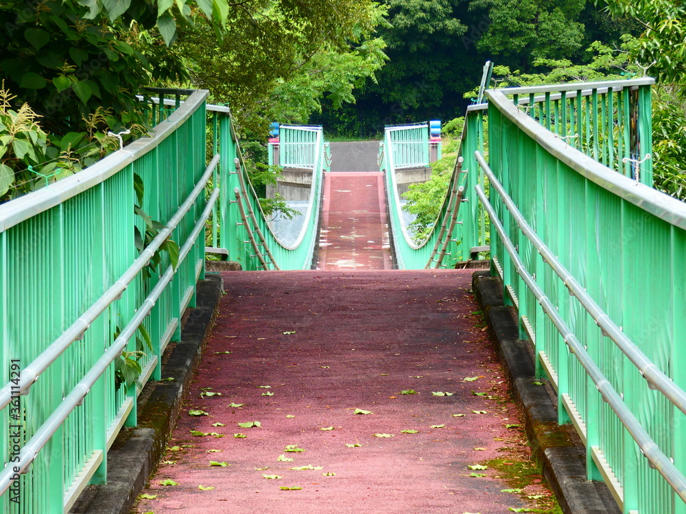 Fototapeta premium 高鍋湿原