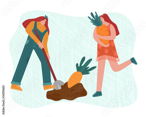 People are gardening. A woman is digging carrots. Vector illustration.