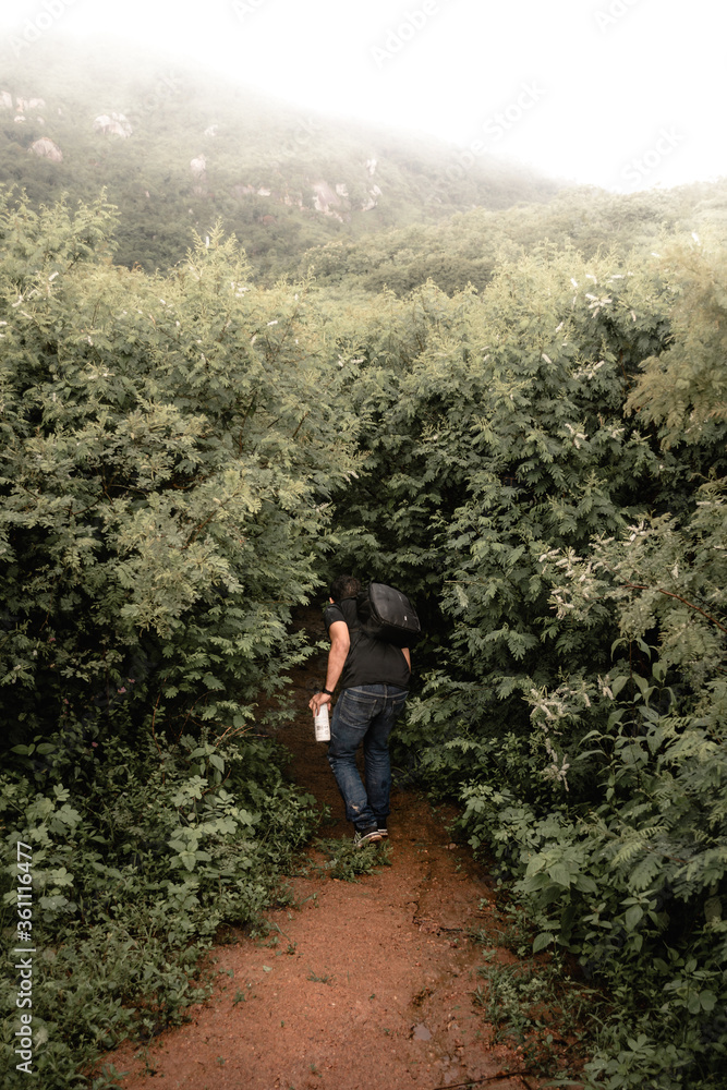 Fototapeta premium hiking in the mountains