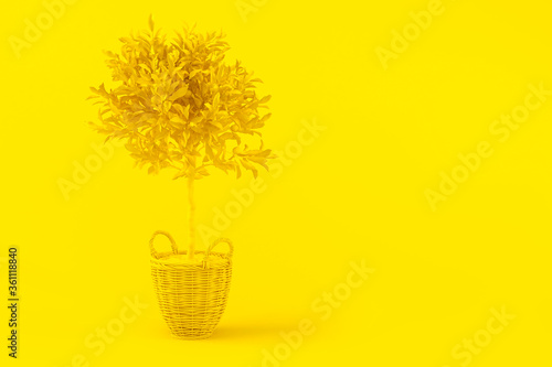 Creative layout with lemon. Lemon tree with fruits in wicker pot on yellow background. Citrus tree  vitamin C  healthy fruit. 3d tinted yellow illustration. Homemade lemon tree