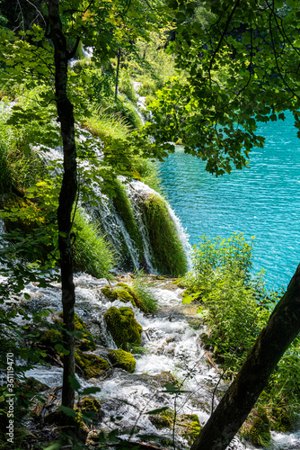 Waterfall in forest  Plitvice Lakes  Croatia
