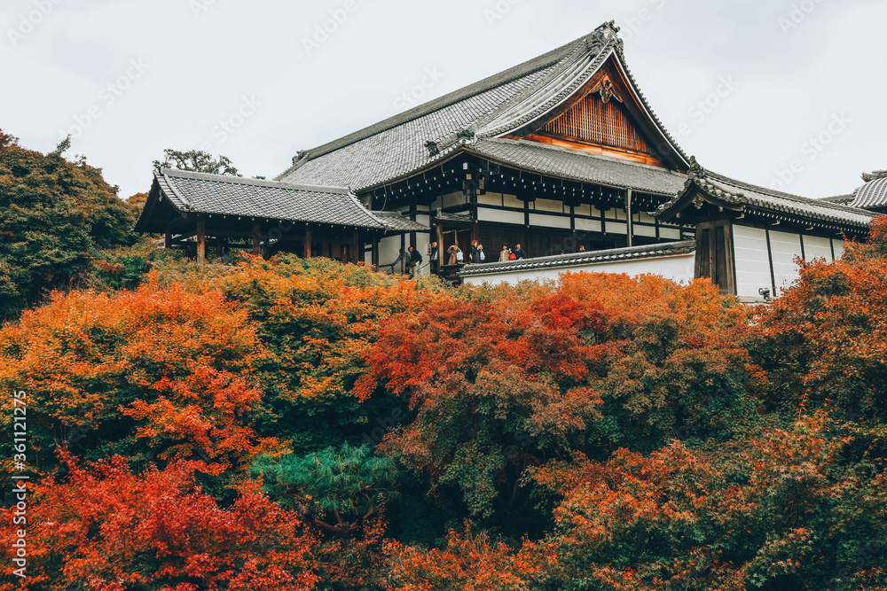 Top view of autumn garden with temple background in Kyoto, Japan Top view of autumn garden with temple background in Kyoto, Japan