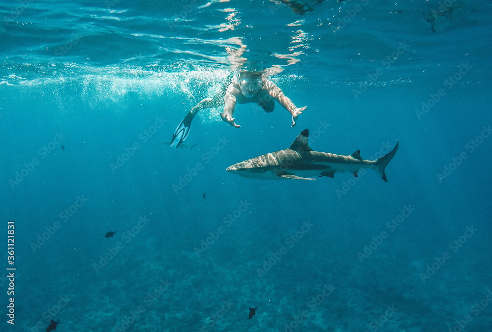 man swimming with shark in ocean