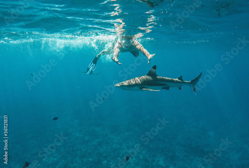 man swimming with shark in ocean