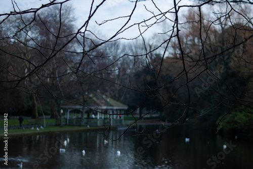 Photography dublin park lake