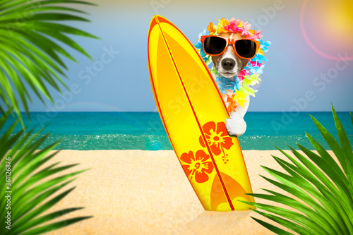 summer paradise vacation surfer dog © Javier brosch
