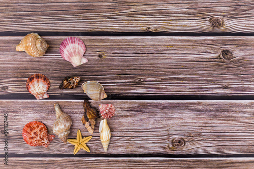 
Multicolored ocean shells on the background of wooden boards, shot frontally with place for text.