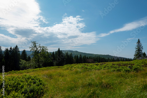 Landschaft im Nationalpark Bayerischer Wald