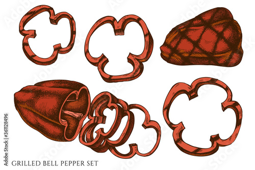 Vector set of hand drawn colored grilled bell pepper