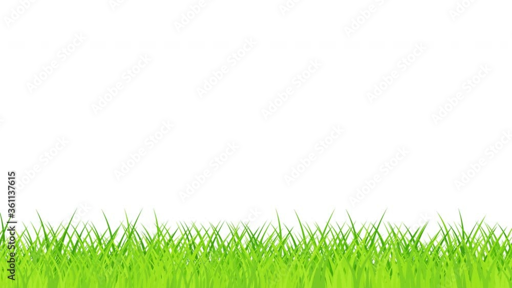 The grass sways in the wind. 2D animation. Green shoot. Space for text and ads. Alpha channel. Looped video footage. 4K. HD The grass sways in the wind. 2D animation. Green shoot. Space for text and ads. Alpha channel. Looped video footage. 4K. HD